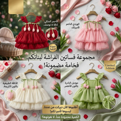 Robe princesse a fleur 🌸